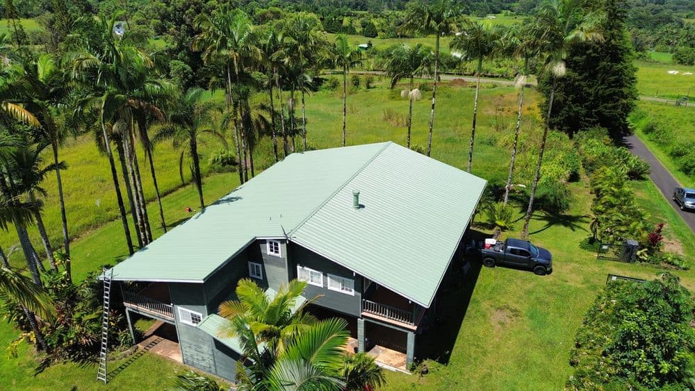 Aerial view of a green-roofed house surrounded by palm trees and lush greenery.