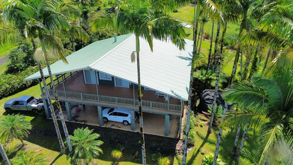 Aerial view of a house surrounded by palm trees and a white truck parked underneath.